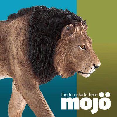 Mojo Fun Coupons