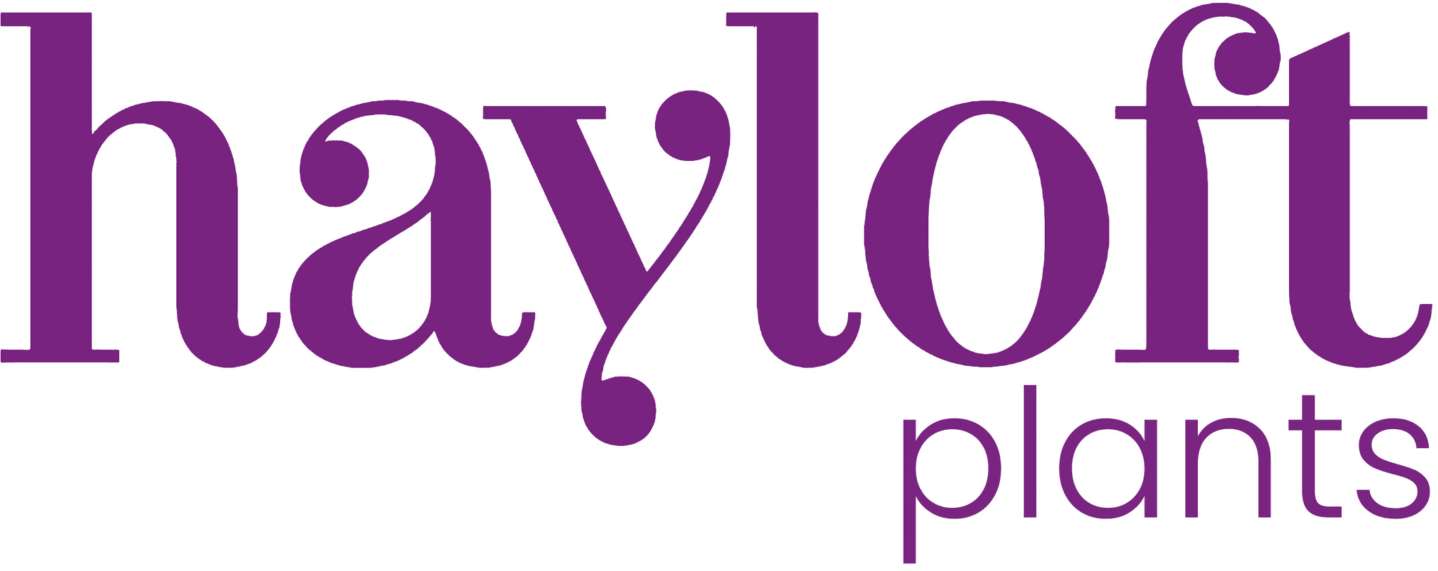 Hayloft Vouchers