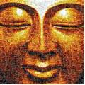 Buddha Power Store Coupons