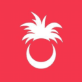 Palmy Pineapple Coupons