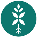 Bloombox Club Vouchers