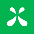 Green Roads Coupons