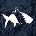 Fish Hippie Coupons