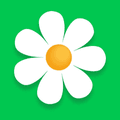 MyFlowers Vouchers