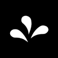 Fontspring Coupons