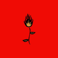 Roses del Fuego Coupons