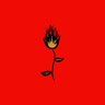 Roses del Fuego coupons