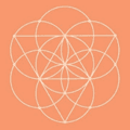 Conscious Items Coupons