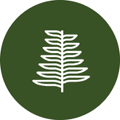 Jackfir Coupons