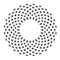 Codex Labs Coupons