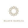 Black Dahlia coupons
