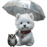 WestieWhiksers coupons
