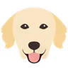 Yappy UK vouchers