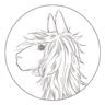 Alicia Adams Alpaca vouchers